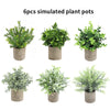 Six simulated plant pots featuring various green foliage in rustic gray pots.