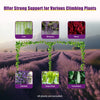A display showing various climbing plants like ivies, wisteria, roses, clematis, grape vines, and cucumbers on a metal arch f