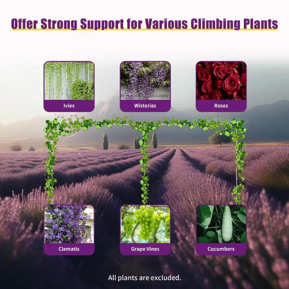 A display showing various climbing plants like ivies, wisteria, roses, clematis, grape vines, and cucumbers on a metal arch f
