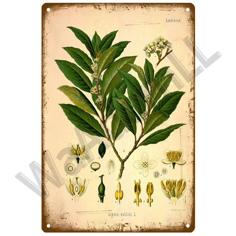 Vintage lavender sunflower metal sign featuring botanical illustrations of lavender and sunflower flowers