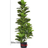 A tall artificial fiddle leaf fig tree plant in a black pot.