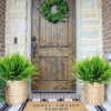 Two potted artificial Boston fern bushes flank a rustic wooden door decorated with a wreath.