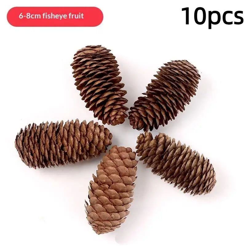 Ten natural dried brown pine cones for Christmas decor and DIY crafts