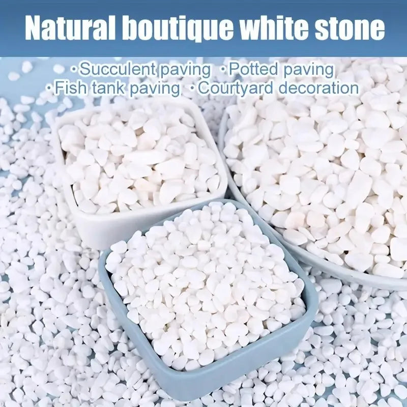 White stone pebbles used for succulent paving, fish tank lining, and courtyard decoration