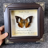 A framed piece of art featuring a real butterfly specimen with text reading Carpe Diem and I could have borne the shade.