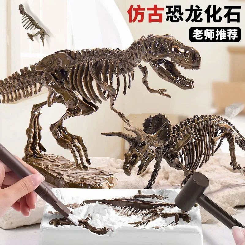 A dinosaur fossil excavation kit showing a skeletal dinosaur model and fossil remains being excavated by a hand.