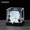 A clear Celestite crystal specimen is displayed inside a black glass box on a dark surface.