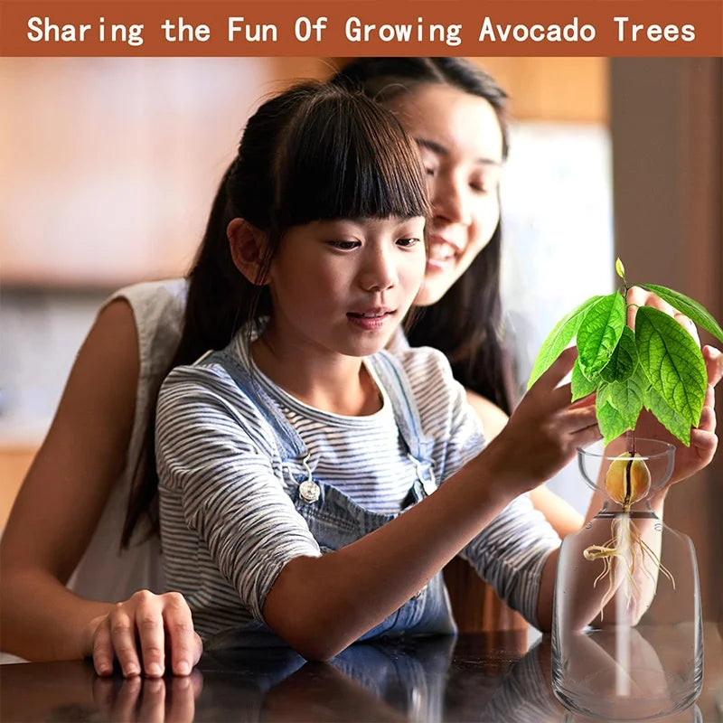 A young girl is carefully tending to a growing avocado tree in a glass vase.