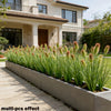 A row of artificial grass stems planted in a rectangular planter box next to a house.