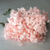 A cluster of light pink dried hydrangea florets used for home decor.
