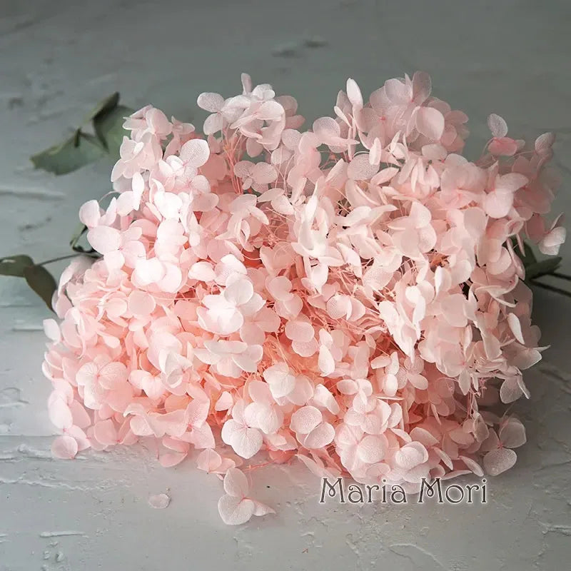 A cluster of light pink dried hydrangea florets used for home decor.