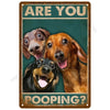 A vintage tin sign featuring three dog faces asking Are You Pooping?
