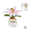 Handmade Crochet Tulip & Sunflower Potted Plant Set