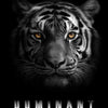 A close-up portrait of a tiger's face with intense yellow eyes against a black background, featuring the word DOMINANT below.