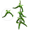 A cluster of green chili peppers hanging on a vine.