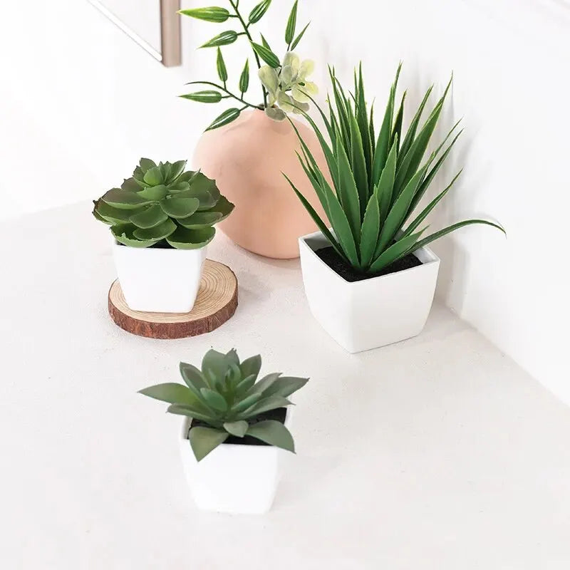 Set of 3 Artificial Evergreen Bonsai Plants