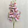 A slender stem of a Lifelike Butterfly Orchid with 21 delicate pink and orange blooms.