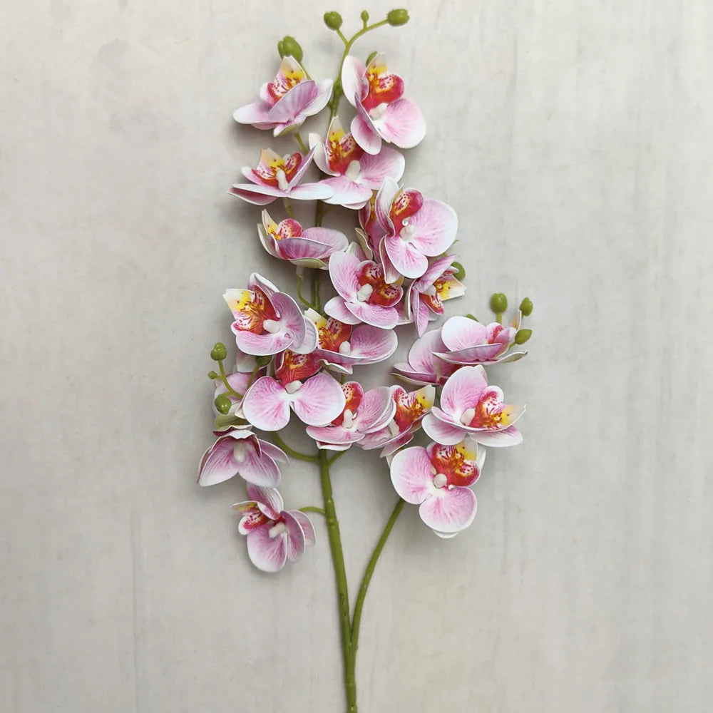 A slender stem of a Lifelike Butterfly Orchid with 21 delicate pink and orange blooms.