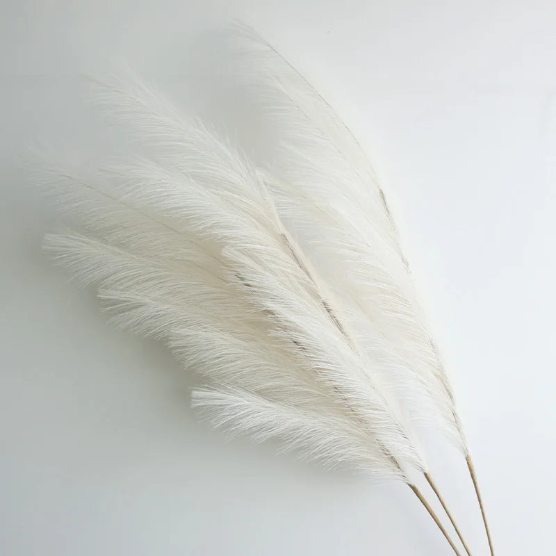 Dried beige pampas grass branches used for boho home and wedding decor