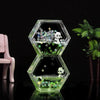 A clear hexagonal liquid sand hourglass timer filled with green liquid and small, colorful flower-like particles, featuring a