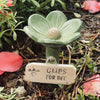 A light green flower with a fuzzy center is shown planted in dark soil, labeled Gups for Bee.