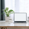 Una laptop colocada en un escritorio blanco junto a una planta en maceta y un letrero etiquetado como Coordinador del Caos.