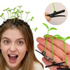 A young woman shows off bean sprout hair clips with grass tops, demonstrating the product.