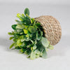 A vibrant green artificial succulent plant is displayed in a natural woven basket pot.