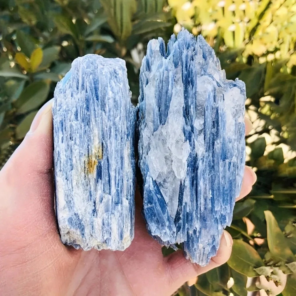 A hand holds two rough, blue-gray kyanite crystal stones against a blurred green background.