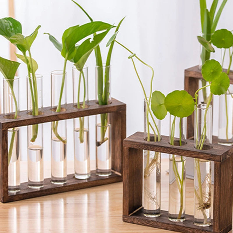 A wooden planter rack holds glass test tube vases with green plants growing in water.