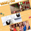 Colorful paper lollipop sticks used for decorating cake pops and candy making at parties