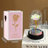 A pink box containing an eternal rose in a glass dome sits next to a white book.