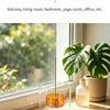 A clear gourd-shaped glass incense burner with a metal stick and ash catcher sits on a wooden windowsill next to a potted pla