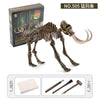 A model dinosaur skeleton fossil excavation kit showing a reconstructed dinosaur skeleton and various tools for excavation.