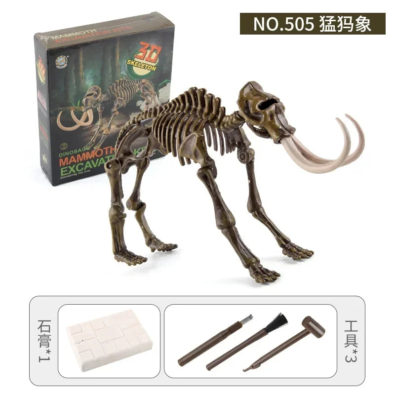 A model dinosaur skeleton fossil excavation kit showing a reconstructed dinosaur skeleton and various tools for excavation.