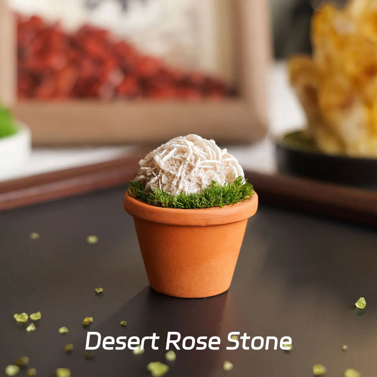 A small terracotta pot filled with white desert rose stone surrounded by green moss.