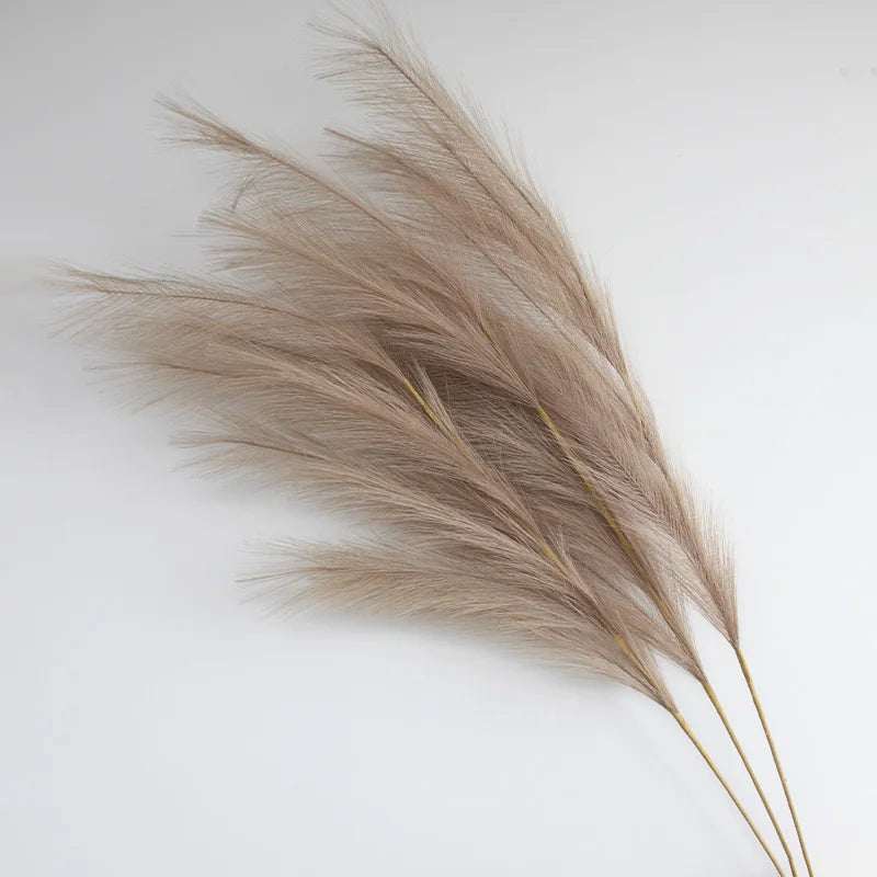 Dried beige pampas grass branches used for boho home and wedding decor