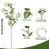 Artificial eucalyptus stem with lifelike leaves, detachable branches, and a flexible stem for DIY arrangements.