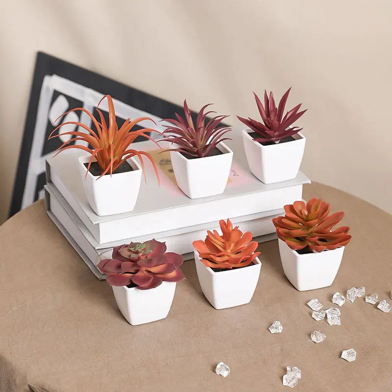 A set of mini artificial succulent decorations in various shades of reddish-orange and burgundy potted in white containers.