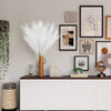 A display of white artificial reed stems in a gold vase against a light gray wall with framed artwork.