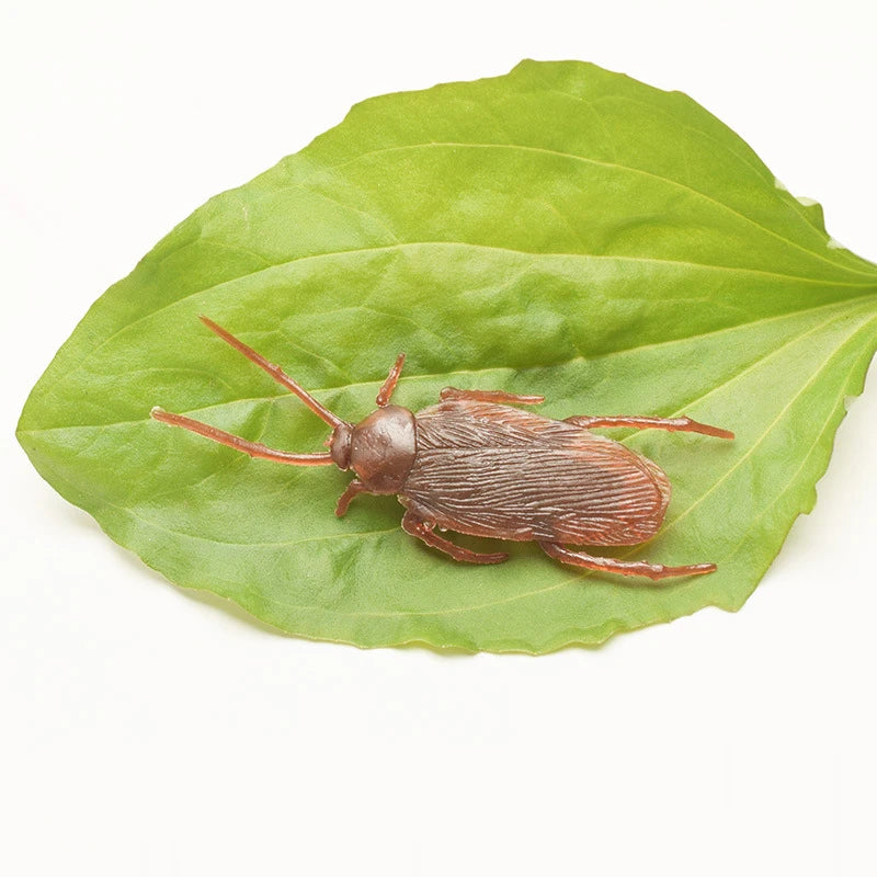 A realistic plastic bug set featuring a brown cockroach resting on a green leaf.