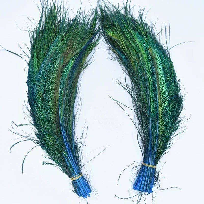A pair of vibrant green and blue peacock feathers displayed against a white background.