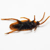 A realistic plastic bug set featuring fake cockroaches, centipedes, and scorpions.