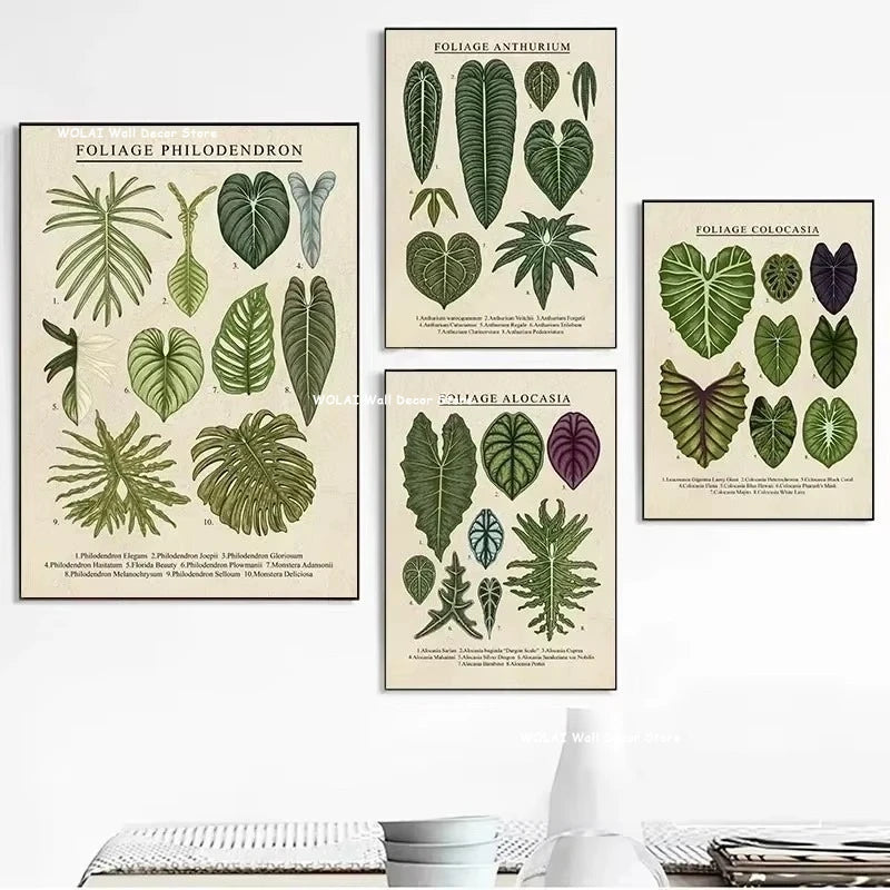 A set of botanical philodendron canvas wall art featuring various green leaves and plants on a white background.