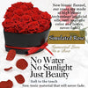 A box of simulated red roses with a red ribbon and text promoting eternal love and beauty.