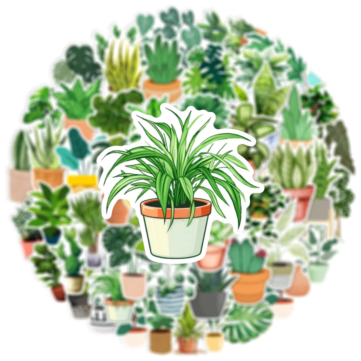A circular arrangement of various potted succulent plants and greenery.