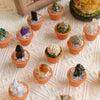 A collection of natural crystals and plants are displayed in small terracotta pots on a white textured surface.