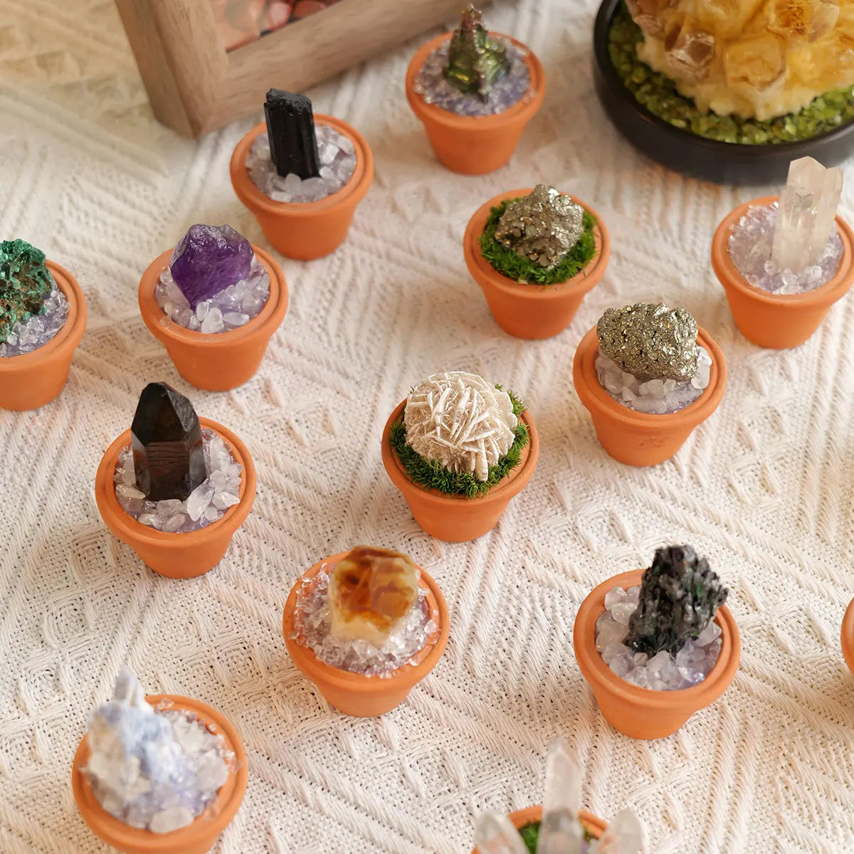 A collection of natural crystals and plants are displayed in small terracotta pots on a white textured surface.