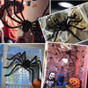 A child holds a large black spider decoration in a Halloween setting with a background of brick and spooky elements.