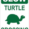 A green road sign indicating a slow turtle crossing area.